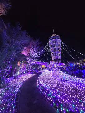 江の島1dayに投稿された画像（2025/12/23）