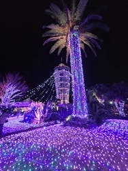 江の島1dayに投稿された画像（2025/12/23）