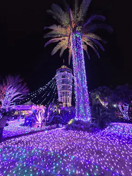 江の島1dayに投稿された画像（2025/12/23）
