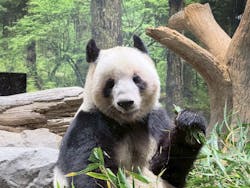 恩賜上野動物園に投稿された画像（2025/12/23）