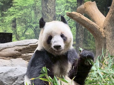 恩賜上野動物園に投稿された画像（2025/12/23）