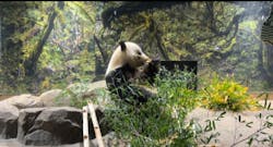 恩賜上野動物園に投稿された画像（2025/12/23）