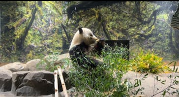 恩賜上野動物園に投稿された画像（2025/12/23）