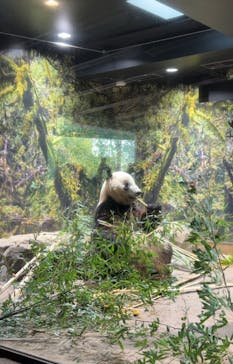 恩賜上野動物園に投稿された画像（2025/12/23）