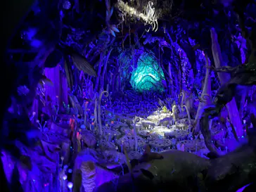 金曜ロードショーとジブリ展（静岡展）に投稿された画像（2025/12/23）