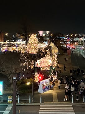 Christmas Market in 横浜赤レンガ倉庫 2025に投稿された画像（2025/12/23）