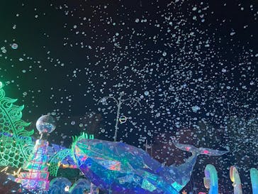 伊豆高原グランイルミに投稿された画像（2025/12/23）