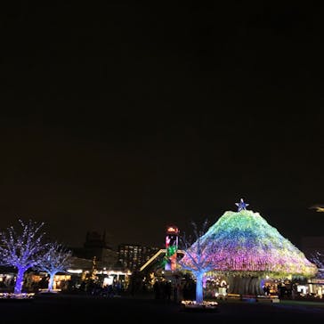 東京メガイルミに投稿された画像（2025/12/23）