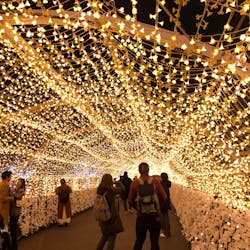 東京メガイルミに投稿された画像（2025/12/23）