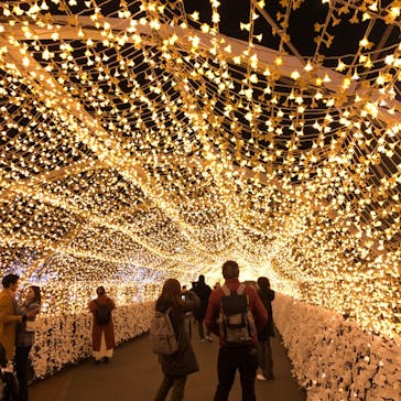 東京メガイルミに投稿された画像（2025/12/23）