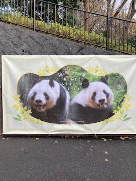 恩賜上野動物園に投稿された画像（2025/12/23）