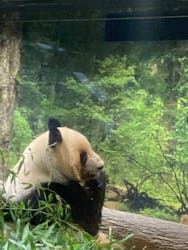 恩賜上野動物園に投稿された画像（2025/12/23）