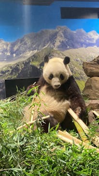 恩賜上野動物園に投稿された画像（2025/12/23）