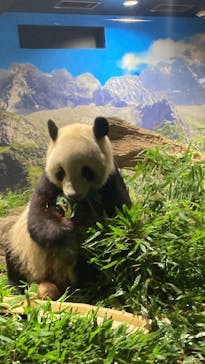 恩賜上野動物園に投稿された画像（2025/12/23）