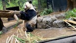 恩賜上野動物園に投稿された画像（2025/12/24）