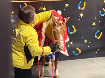 東京メガイルミに投稿された画像（2025/12/23）