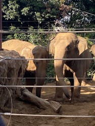 恩賜上野動物園に投稿された画像（2025/12/23）