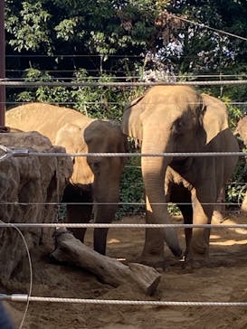 恩賜上野動物園に投稿された画像（2025/12/23）