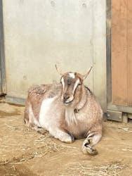 恩賜上野動物園に投稿された画像（2025/12/23）