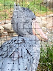 恩賜上野動物園に投稿された画像（2025/12/23）