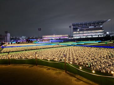 東京メガイルミに投稿された画像（2025/12/23）