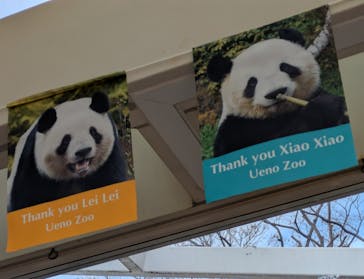 恩賜上野動物園に投稿された画像（2025/12/23）