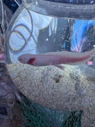 ひらかたパークに投稿された画像（2025/12/23）