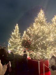 Christmas Market in 横浜赤レンガ倉庫 2025に投稿された画像（2025/12/23）