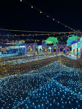 伊豆高原グランイルミに投稿された画像（2025/12/23）