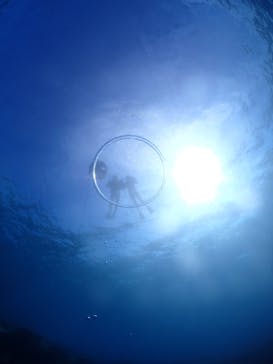 アソビュー株式会社 154200に投稿された画像（2025/12/24）