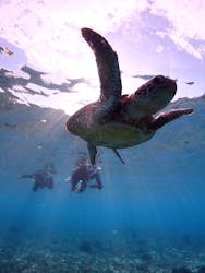 アソビュー株式会社 154200に投稿された画像（2025/12/24）