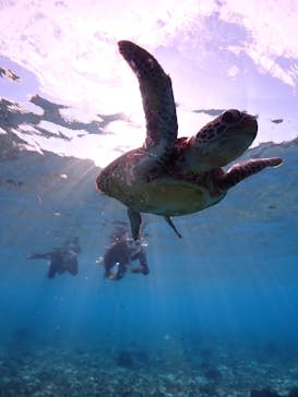 アソビュー株式会社 154200に投稿された画像（2025/12/24）