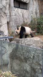 恩賜上野動物園に投稿された画像（2025/12/24）