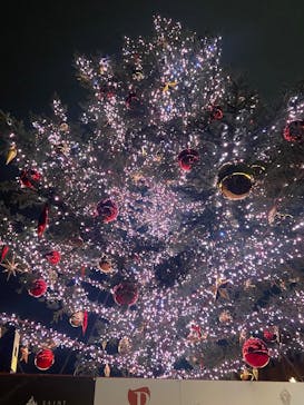 Christmas Market in 横浜赤レンガ倉庫 2025に投稿された画像（2025/12/24）