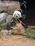恩賜上野動物園に投稿された画像（2025/12/24）