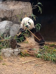 恩賜上野動物園に投稿された画像（2025/12/24）