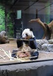 恩賜上野動物園に投稿された画像（2025/12/24）