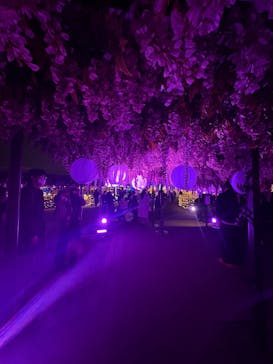 東京メガイルミに投稿された画像（2025/12/24）