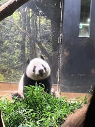 恩賜上野動物園に投稿された画像（2025/12/24）