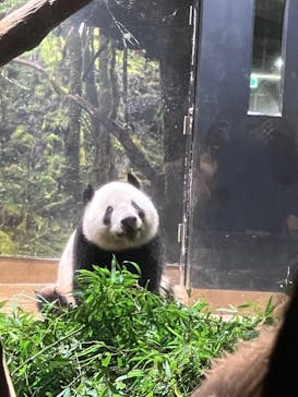 恩賜上野動物園に投稿された画像（2025/12/24）