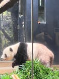 恩賜上野動物園に投稿された画像（2025/12/24）