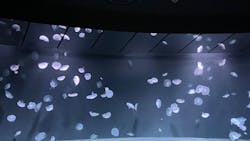 サンシャイン水族館に投稿された画像（2025/12/24）