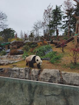 恩賜上野動物園に投稿された画像（2025/12/24）