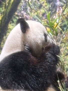 恩賜上野動物園に投稿された画像（2025/12/24）