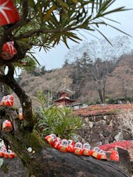 勝尾寺に投稿された画像（2025/12/24）