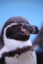 こども動物自然公園（埼玉県公園緑地協会）に投稿された画像（2025/12/24）