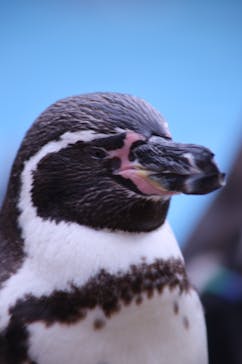 こども動物自然公園（埼玉県公園緑地協会）に投稿された画像（2025/12/24）