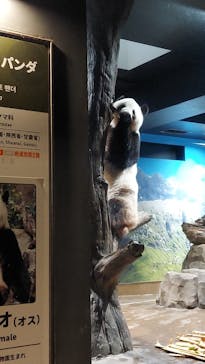 恩賜上野動物園に投稿された画像（2025/12/24）