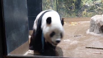 恩賜上野動物園に投稿された画像（2025/12/24）
