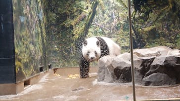 恩賜上野動物園に投稿された画像（2025/12/24）